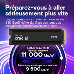 Crucial P510 1 To 2280 - Avec dissipateur Crucial P510 1 To 2280 - Avec dissipateur